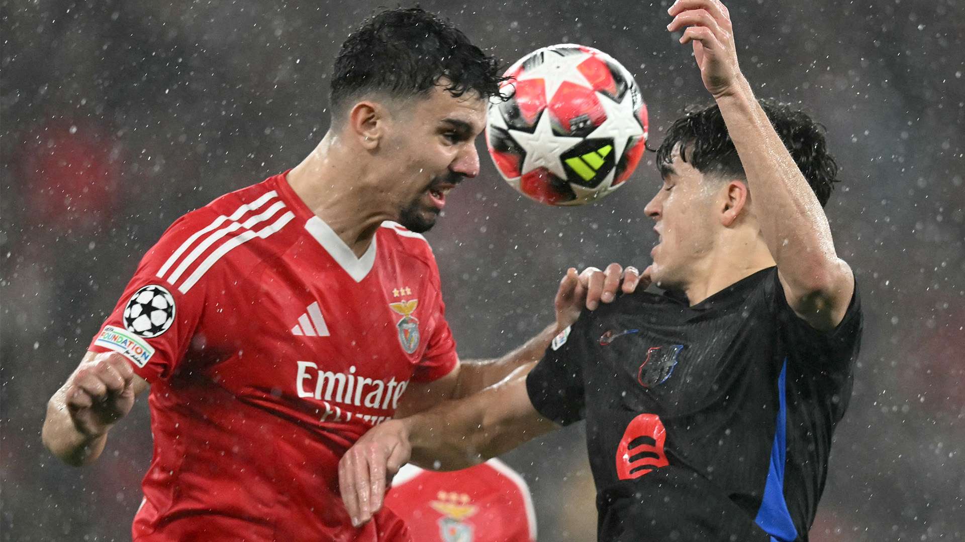 阵辽宁男篮 阵辽宁男篮